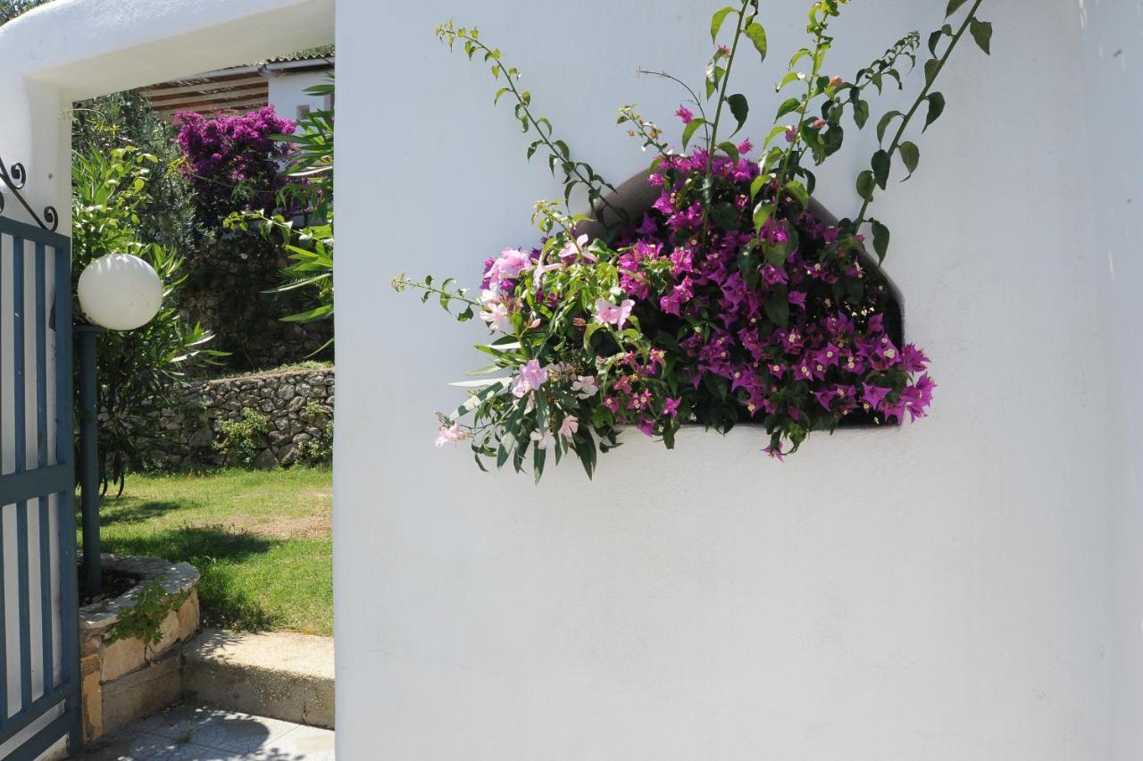 Case Vacanza Montesaraceno มัตตีนาตา ภายนอก รูปภาพ